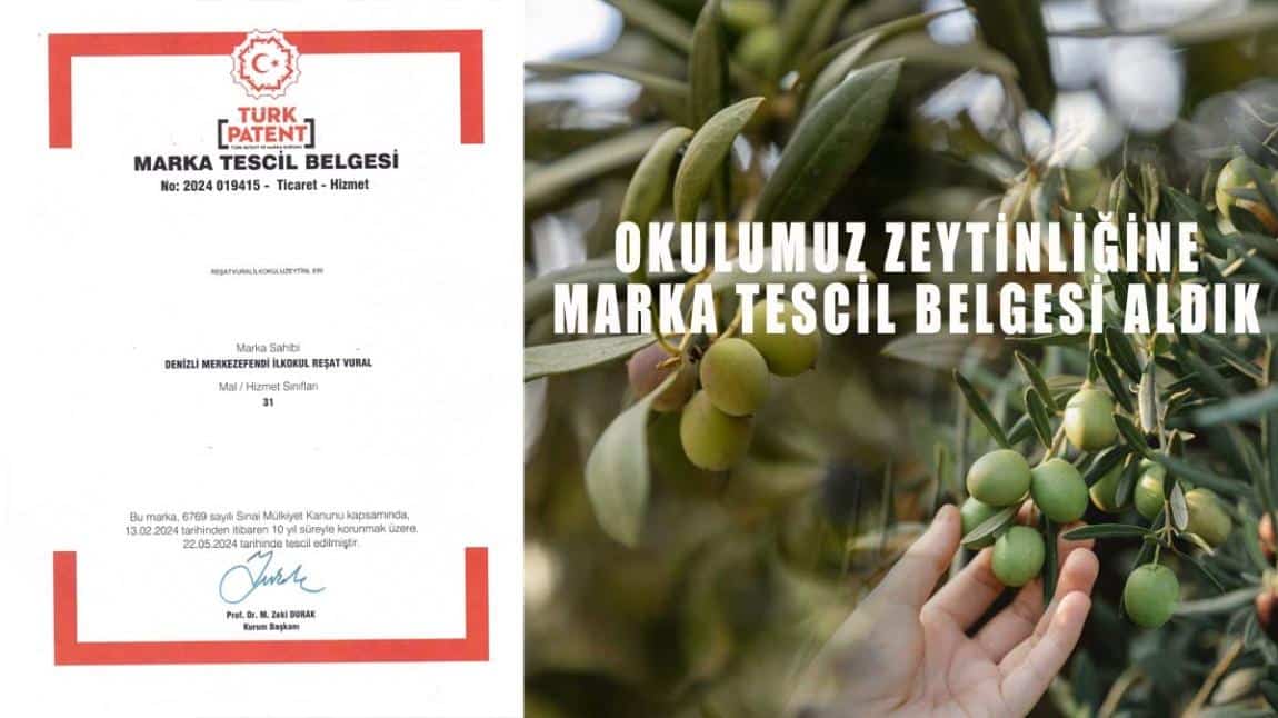 OKULUMUZUN ZEYTİNLİĞİNE MARKA TESCİL BELGESİ ALDIK.